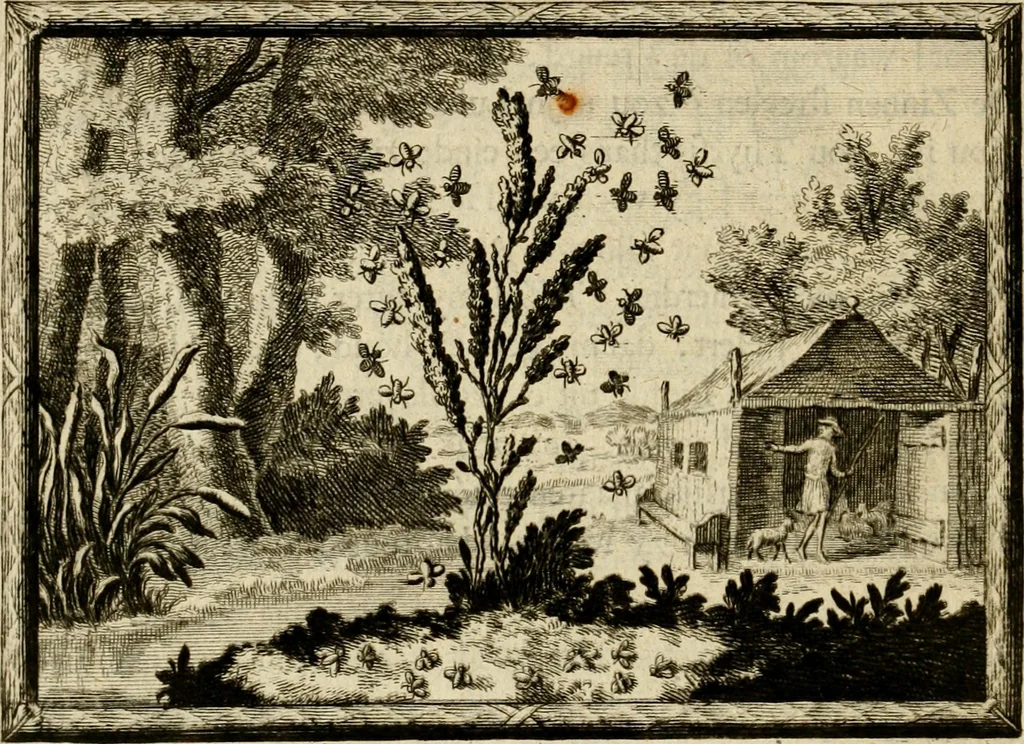 An illustration from De veldgezangen van Thyrsis : gesierd met toegepaste zinneminnebeelden, 1702, leaf 47