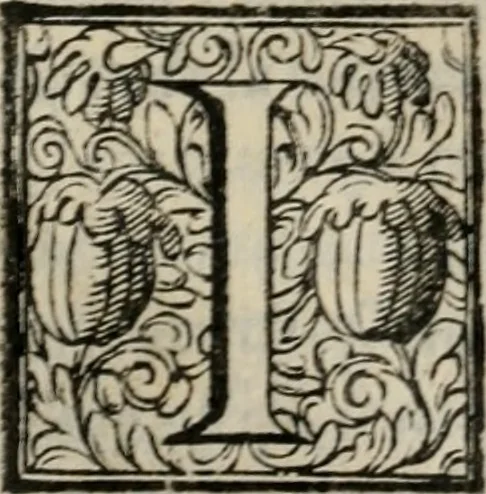 An illustration from De' veri precetti della pittvra, libri tre, 1587, leaf 171