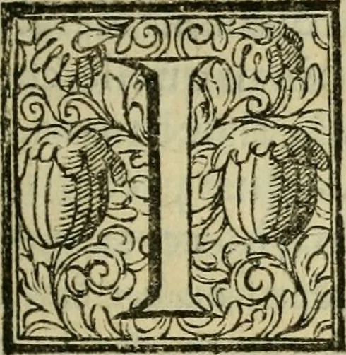 An illustration from De' veri precetti della pittvra, libri tre, 1587, leaf 24