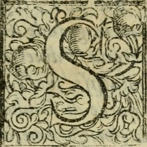 An illustration from De' veri precetti della pittvra, libri tre, 1587, leaf 6