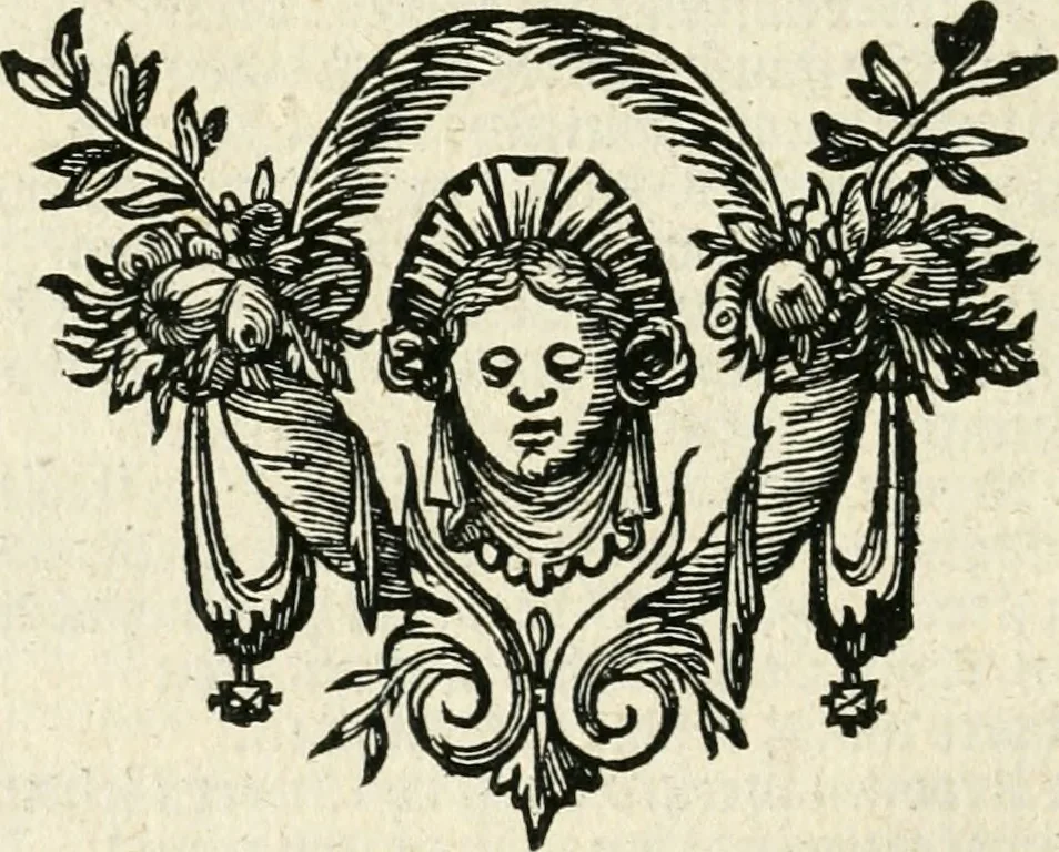 An illustration from De vernieuwde gulden winckel der kunstliebende Nederlanders : waer in den mensche door poëtische, historische en morale leeringen, vertoont wort, hoedanigh hy zijn leven, handel ende wandel, zedighlijck, eerbaerlijck en vermakelijck sal overbrengen : hier is by ghevoeght het tweede deel, waer in 't vvelvaren der vereenighde Nederlanden, en de droeve vvtvaert van Henricus de Grote, coningh van Vranckrijck en Navarre, &c. : nessens andere stichtelijcke dinghen, den konst-beminders worden voor oogen ghestelt, 1622, leaf 167