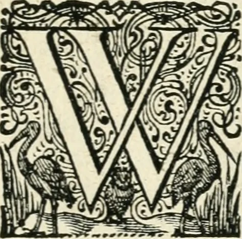 An illustration from De vernieuwde gulden winckel der kunstliebende Nederlanders : waer in den mensche door poëtische, historische en morale leeringen, vertoont wort, hoedanigh hy zijn leven, handel ende wandel, zedighlijck, eerbaerlijck en vermakelijck sal overbrengen : hier is by ghevoeght het tweede deel, waer in 't vvelvaren der vereenighde Nederlanden, en de droeve vvtvaert van Henricus de Grote, coningh van Vranckrijck en Navarre, &c. : nessens andere stichtelijcke dinghen, den konst-beminders worden voor oogen ghestelt, 1622, leaf 168