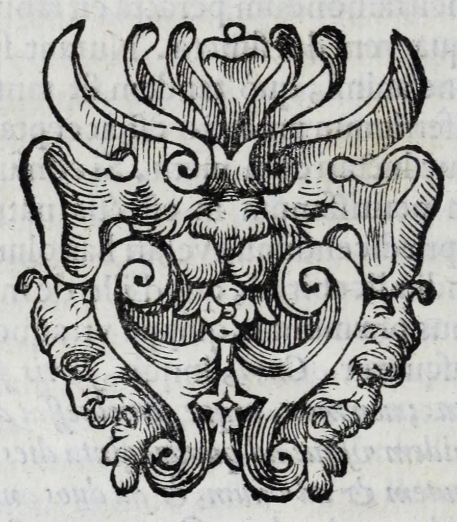 An illustration from De Vesuuiano incendio nuntius, 1632, leaf 108