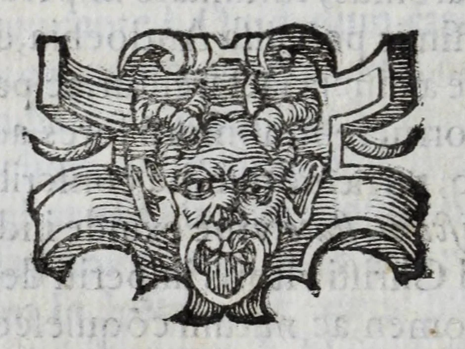 An illustration from De Vesuuiano incendio nuntius, 1632, leaf 128