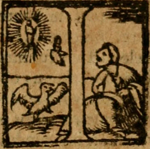 An illustration from De Vesuviano incendio nuntius, 1639, leaf 10