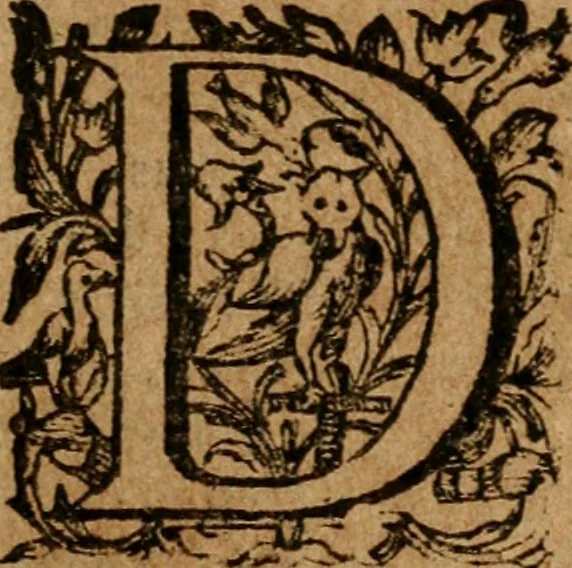An illustration from De Vesuviano incendio nuntius, 1639, leaf 114