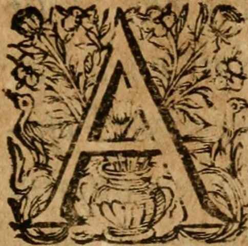 An illustration from De Vesuviano incendio nuntius, 1639, leaf 6