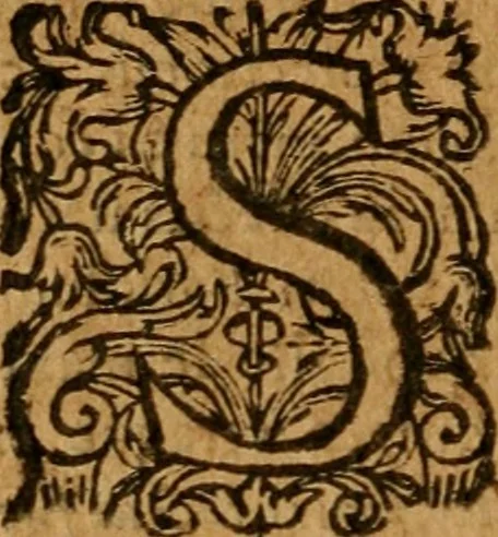An illustration from De Vesuviano incendio nuntius, 1639, leaf 95