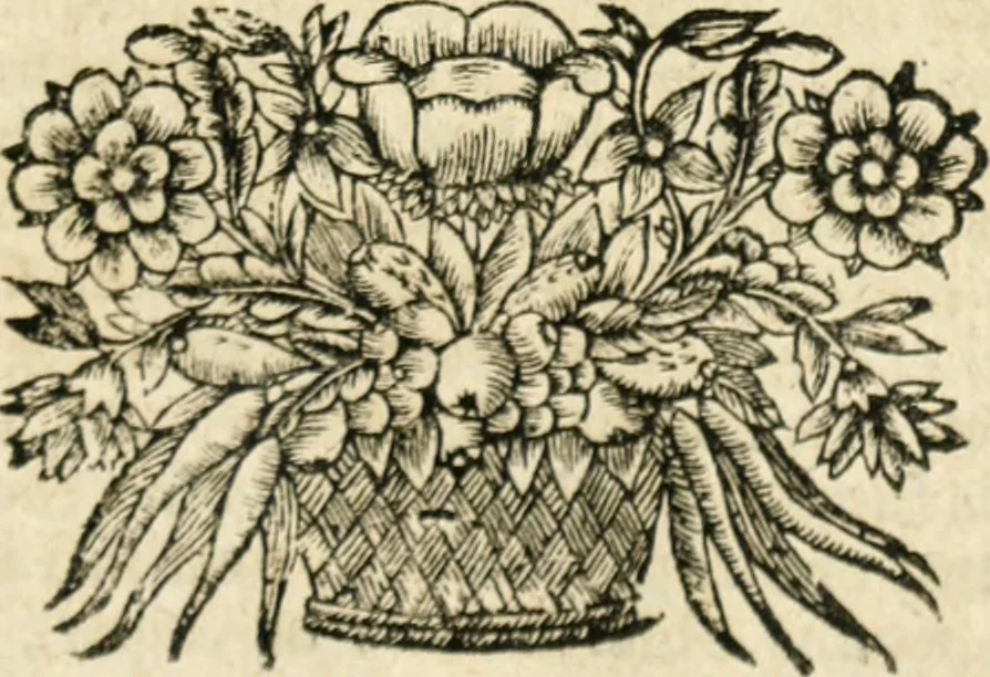 An illustration from De veteris numismatis potentia et qualitate lucubratio, occasione rubricae codicis de eodem argumento; sive, Cognitio totius rei numariae ad intelligentiam juris accommodata; accessit Dissertatio Juridica de numo unico, cum multis aliis cognitioni numorum conducentibus, 1701, leaf 166