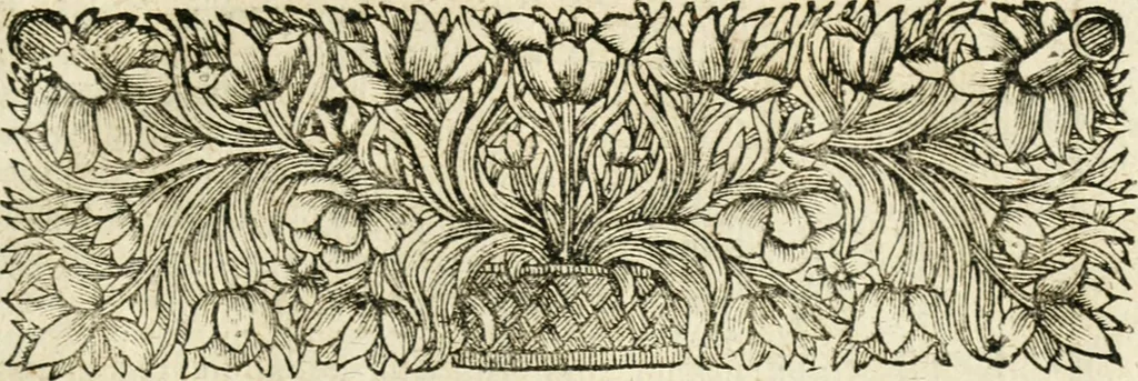 An illustration from De veteris numismatis potentia et qualitate lucubratio, occasione rubricae codicis de eodem argumento; sive, Cognitio totius rei numariae ad intelligentiam juris accommodata; accessit Dissertatio Juridica de numo unico, cum multis aliis cognitioni numorum conducentibus, 1701, leaf 18