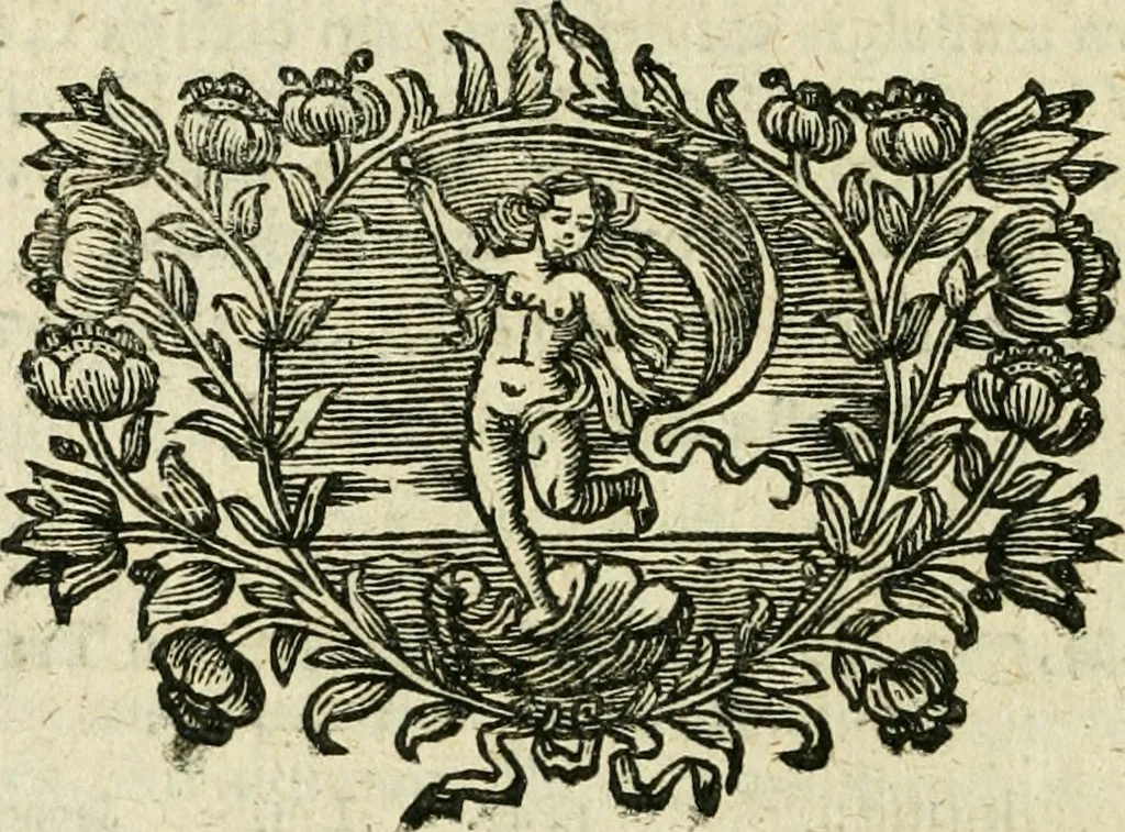 An illustration from De veteris numismatis potentia et qualitate lucubratio, occasione rubricae codicis de eodem argumento; sive, Cognitio totius rei numariae ad intelligentiam juris accommodata; accessit Dissertatio Juridica de numo unico, cum multis aliis cognitioni numorum conducentibus, 1701, leaf 215