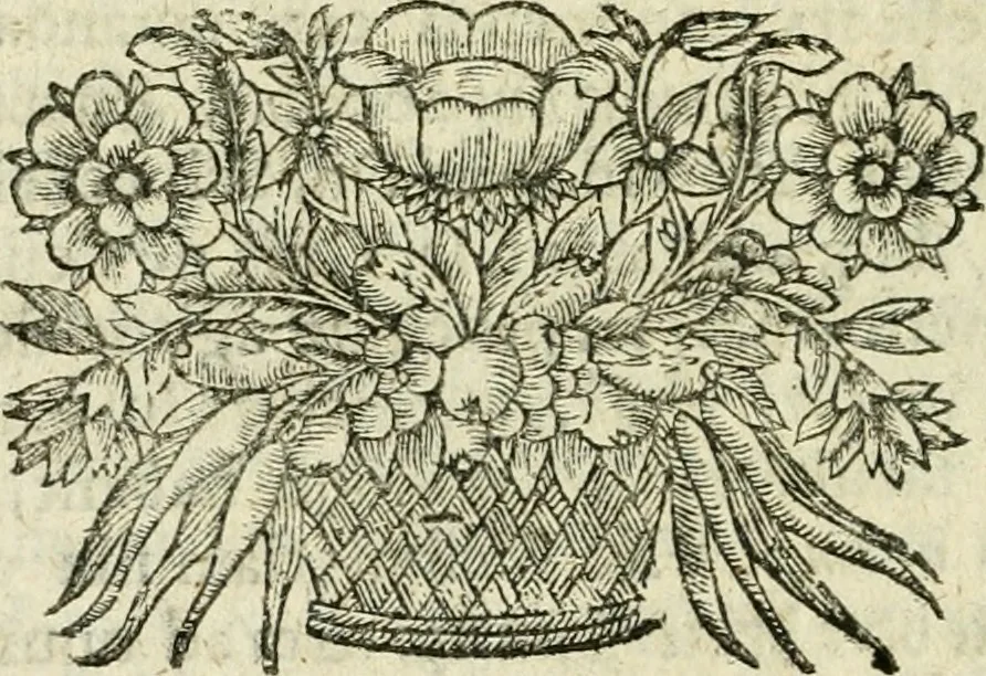 An illustration from De veteris numismatis potentia et qualitate lucubratio, occasione rubricae codicis de eodem argumento; sive, Cognitio totius rei numariae ad intelligentiam juris accommodata; accessit Dissertatio Juridica de numo unico, cum multis aliis cognitioni numorum conducentibus, 1701, leaf 275