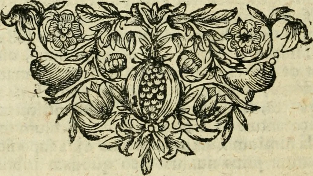 An illustration from De veteris numismatis potentia et qualitate lucubratio, occasione rubricae codicis de eodem argumento; sive, Cognitio totius rei numariae ad intelligentiam juris accommodata; accessit Dissertatio Juridica de numo unico, cum multis aliis cognitioni numorum conducentibus, 1701, leaf 317