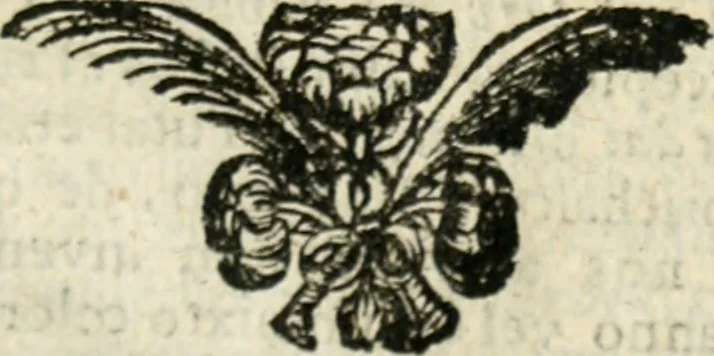 An illustration from De veteris numismatis potentia et qualitate lucubratio, occasione rubricae codicis de eodem argumento; sive, Cognitio totius rei numariae ad intelligentiam juris accommodata; accessit Dissertatio Juridica de numo unico, cum multis aliis cognitioni numorum conducentibus, 1701, leaf 38