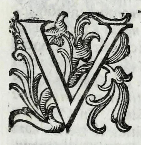 An illustration from De veterum acclamationibus et plausu libri septem Francisci Bernardini Ferrarii .., 1627, leaf 111