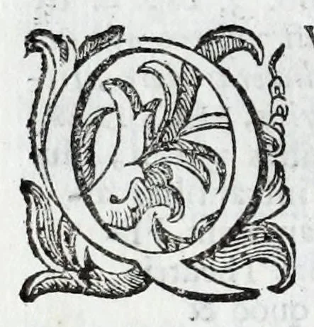 An illustration from De veterum acclamationibus et plausu libri septem Francisci Bernardini Ferrarii .., 1627, leaf 126