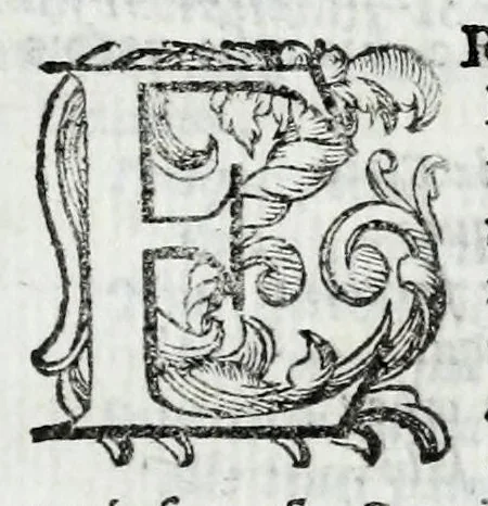 An illustration from De veterum acclamationibus et plausu libri septem Francisci Bernardini Ferrarii .., 1627, leaf 133