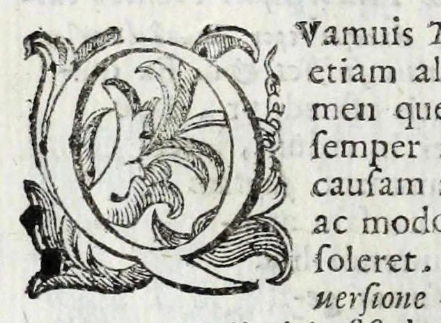 An illustration from De veterum acclamationibus et plausu libri septem Francisci Bernardini Ferrarii .., 1627, leaf 148
