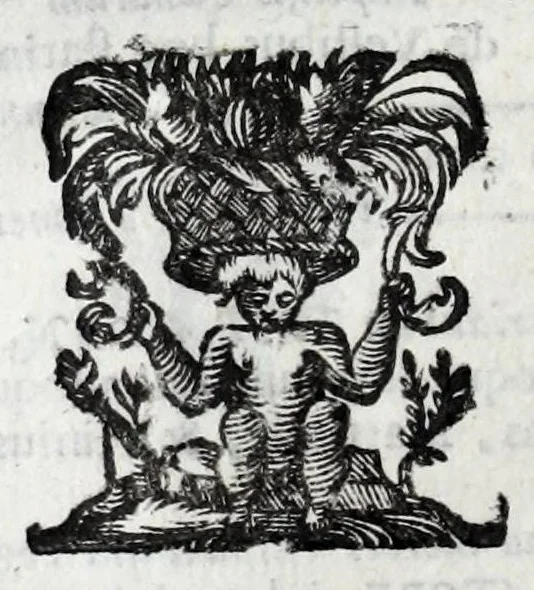 An illustration from De veterum acclamationibus et plausu libri septem Francisci Bernardini Ferrarii .., 1627, leaf 208