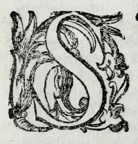 An illustration from De veterum acclamationibus et plausu libri septem Francisci Bernardini Ferrarii .., 1627, leaf 255