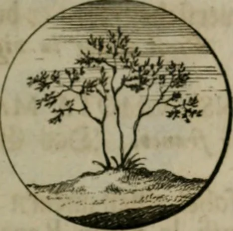 An illustration from Devises et emblemes anciennes & modernes, tirées des plus celebres auteurs, oder, Emblematische Gemüths-Vergnügung : bey Betrachtung siben hundert und funffzehen der curieusesten und ergötzlichen Sinn-Bildern, mit ihren zuständigen teutsch-lateinisch-französisch- und italianischen Beyschrifften, 1695, leaf 102