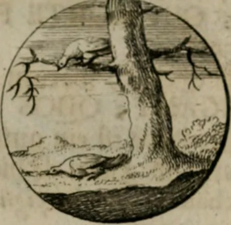 An illustration from Devises et emblemes anciennes & modernes, tirées des plus celebres auteurs, oder, Emblematische Gemüths-Vergnügung : bey Betrachtung siben hundert und funffzehen der curieusesten und ergötzlichen Sinn-Bildern, mit ihren zuständigen teutsch-lateinisch-französisch- und italianischen Beyschrifften, 1695, leaf 102