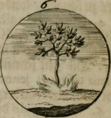 An illustration from Devises et emblemes anciennes & modernes, tirées des plus celebres auteurs, oder, Emblematische Gemüths-Vergnügung : bey Betrachtung siben hundert und funffzehen der curieusesten und ergötzlichen Sinn-Bildern, mit ihren zuständigen teutsch-lateinisch-französisch- und italianischen Beyschrifften, 1695, leaf 102