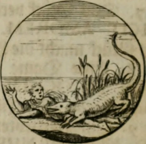 An illustration from Devises et emblemes anciennes & modernes, tirées des plus celebres auteurs, oder, Emblematische Gemüths-Vergnügung : bey Betrachtung siben hundert und funffzehen der curieusesten und ergötzlichen Sinn-Bildern, mit ihren zuständigen teutsch-lateinisch-französisch- und italianischen Beyschrifften, 1695, leaf 104