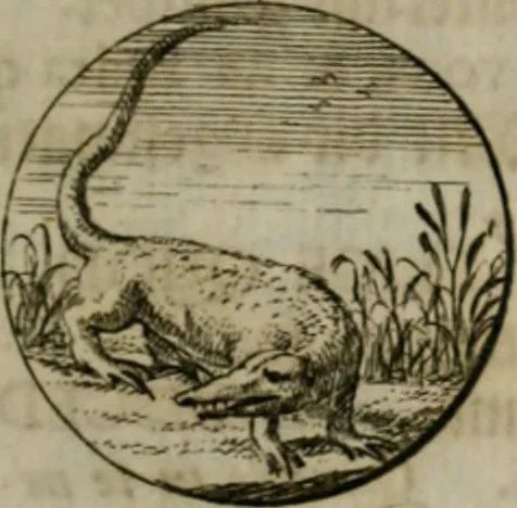 An illustration from Devises et emblemes anciennes & modernes, tirées des plus celebres auteurs, oder, Emblematische Gemüths-Vergnügung : bey Betrachtung siben hundert und funffzehen der curieusesten und ergötzlichen Sinn-Bildern, mit ihren zuständigen teutsch-lateinisch-französisch- und italianischen Beyschrifften, 1695, leaf 108
