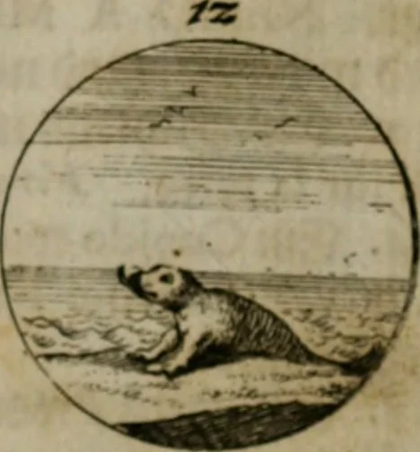 An illustration from Devises et emblemes anciennes & modernes, tirées des plus celebres auteurs, oder, Emblematische Gemüths-Vergnügung : bey Betrachtung siben hundert und funffzehen der curieusesten und ergötzlichen Sinn-Bildern, mit ihren zuständigen teutsch-lateinisch-französisch- und italianischen Beyschrifften, 1695, leaf 108