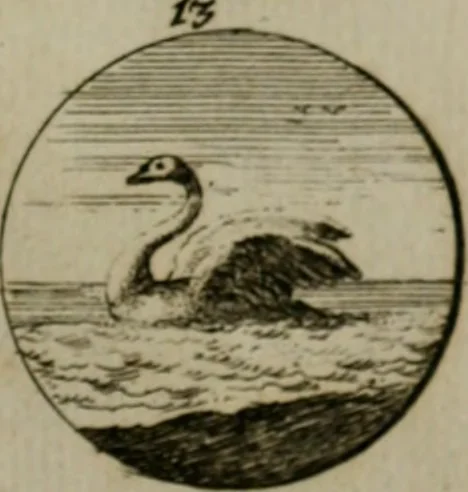 An illustration from Devises et emblemes anciennes & modernes, tirées des plus celebres auteurs, oder, Emblematische Gemüths-Vergnügung : bey Betrachtung siben hundert und funffzehen der curieusesten und ergötzlichen Sinn-Bildern, mit ihren zuständigen teutsch-lateinisch-französisch- und italianischen Beyschrifften, 1695, leaf 110