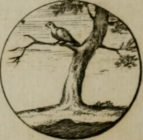 An illustration from Devises et emblemes anciennes & modernes, tirées des plus celebres auteurs, oder, Emblematische Gemüths-Vergnügung : bey Betrachtung siben hundert und funffzehen der curieusesten und ergötzlichen Sinn-Bildern, mit ihren zuständigen teutsch-lateinisch-französisch- und italianischen Beyschrifften, 1695, leaf 110