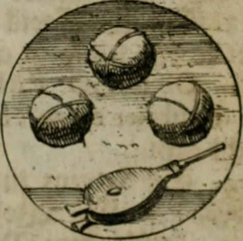 An illustration from Devises et emblemes anciennes & modernes, tirées des plus celebres auteurs, oder, Emblematische Gemüths-Vergnügung : bey Betrachtung siben hundert und funffzehen der curieusesten und ergötzlichen Sinn-Bildern, mit ihren zuständigen teutsch-lateinisch-französisch- und italianischen Beyschrifften, 1695, leaf 12