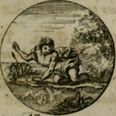 An illustration from Devises et emblemes anciennes & modernes, tirées des plus celebres auteurs, oder, Emblematische Gemüths-Vergnügung : bey Betrachtung siben hundert und funffzehen der curieusesten und ergötzlichen Sinn-Bildern, mit ihren zuständigen teutsch-lateinisch-französisch- und italianischen Beyschrifften, 1695, leaf 14