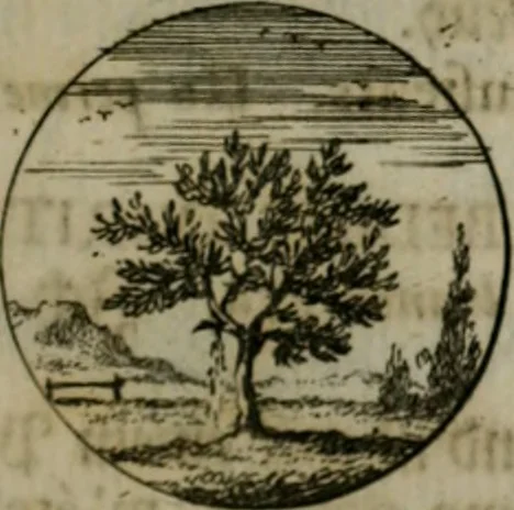 An illustration from Devises et emblemes anciennes & modernes, tirées des plus celebres auteurs, oder, Emblematische Gemüths-Vergnügung : bey Betrachtung siben hundert und funffzehen der curieusesten und ergötzlichen Sinn-Bildern, mit ihren zuständigen teutsch-lateinisch-französisch- und italianischen Beyschrifften, 1695, leaf 16