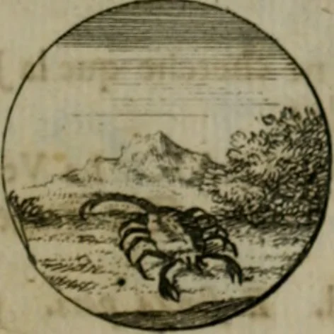 An illustration from Devises et emblemes anciennes & modernes, tirées des plus celebres auteurs, oder, Emblematische Gemüths-Vergnügung : bey Betrachtung siben hundert und funffzehen der curieusesten und ergötzlichen Sinn-Bildern, mit ihren zuständigen teutsch-lateinisch-französisch- und italianischen Beyschrifften, 1695, leaf 16