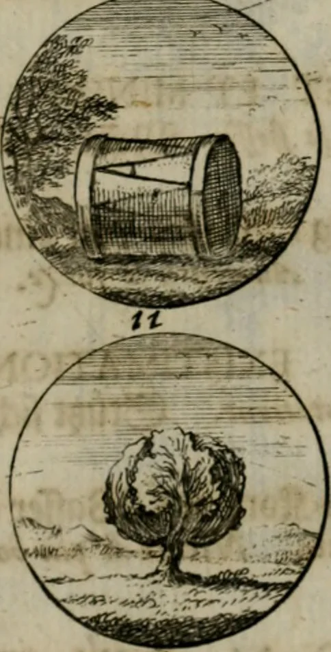 An illustration from Devises et emblemes anciennes & modernes, tirées des plus celebres auteurs, oder, Emblematische Gemüths-Vergnügung : bey Betrachtung siben hundert und funffzehen der curieusesten und ergötzlichen Sinn-Bildern, mit ihren zuständigen teutsch-lateinisch-französisch- und italianischen Beyschrifften, 1695, leaf 18