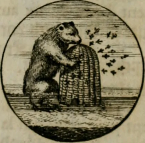 An illustration from Devises et emblemes anciennes & modernes, tirées des plus celebres auteurs, oder, Emblematische Gemüths-Vergnügung : bey Betrachtung siben hundert und funffzehen der curieusesten und ergötzlichen Sinn-Bildern, mit ihren zuständigen teutsch-lateinisch-französisch- und italianischen Beyschrifften, 1695, leaf 20