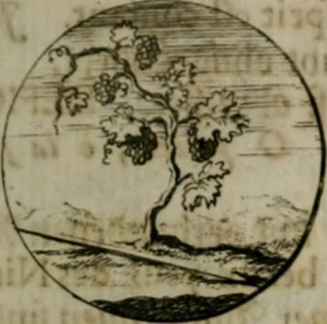 An illustration from Devises et emblemes anciennes & modernes, tirées des plus celebres auteurs, oder, Emblematische Gemüths-Vergnügung : bey Betrachtung siben hundert und funffzehen der curieusesten und ergötzlichen Sinn-Bildern, mit ihren zuständigen teutsch-lateinisch-französisch- und italianischen Beyschrifften, 1695, leaf 22