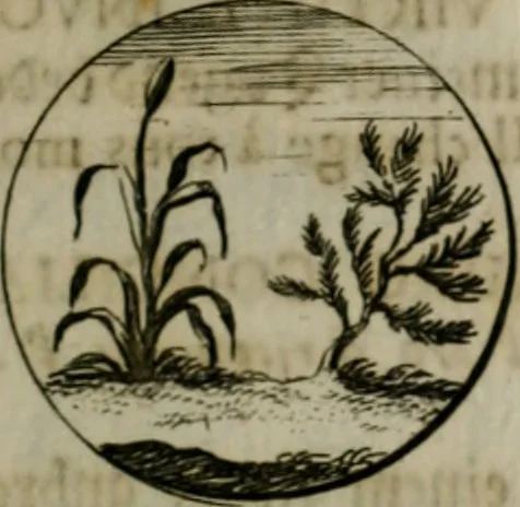 An illustration from Devises et emblemes anciennes & modernes, tirées des plus celebres auteurs, oder, Emblematische Gemüths-Vergnügung : bey Betrachtung siben hundert und funffzehen der curieusesten und ergötzlichen Sinn-Bildern, mit ihren zuständigen teutsch-lateinisch-französisch- und italianischen Beyschrifften, 1695, leaf 22