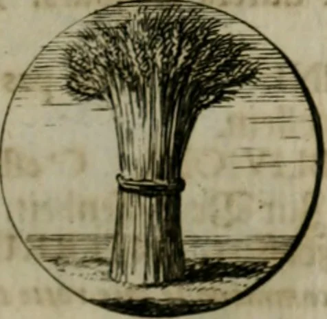 An illustration from Devises et emblemes anciennes & modernes, tirées des plus celebres auteurs, oder, Emblematische Gemüths-Vergnügung : bey Betrachtung siben hundert und funffzehen der curieusesten und ergötzlichen Sinn-Bildern, mit ihren zuständigen teutsch-lateinisch-französisch- und italianischen Beyschrifften, 1695, leaf 22