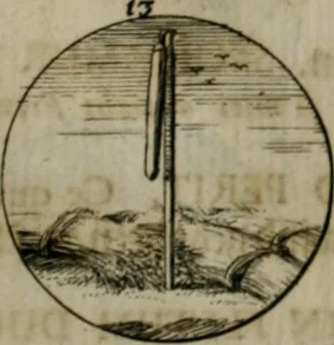 An illustration from Devises et emblemes anciennes & modernes, tirées des plus celebres auteurs, oder, Emblematische Gemüths-Vergnügung : bey Betrachtung siben hundert und funffzehen der curieusesten und ergötzlichen Sinn-Bildern, mit ihren zuständigen teutsch-lateinisch-französisch- und italianischen Beyschrifften, 1695, leaf 22