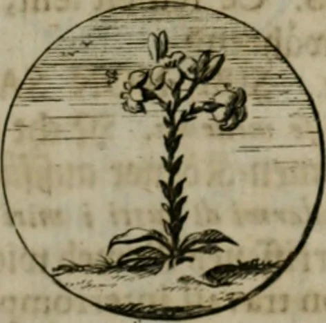 An illustration from Devises et emblemes anciennes & modernes, tirées des plus celebres auteurs, oder, Emblematische Gemüths-Vergnügung : bey Betrachtung siben hundert und funffzehen der curieusesten und ergötzlichen Sinn-Bildern, mit ihren zuständigen teutsch-lateinisch-französisch- und italianischen Beyschrifften, 1695, leaf 22