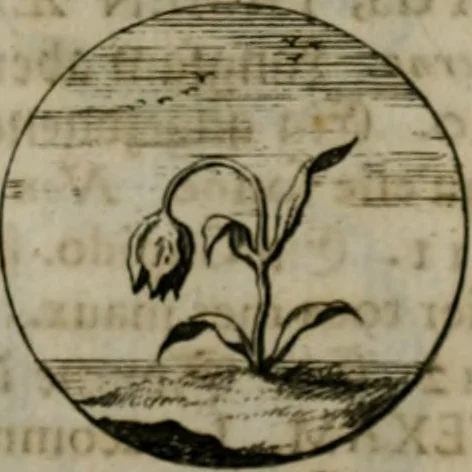 An illustration from Devises et emblemes anciennes & modernes, tirées des plus celebres auteurs, oder, Emblematische Gemüths-Vergnügung : bey Betrachtung siben hundert und funffzehen der curieusesten und ergötzlichen Sinn-Bildern, mit ihren zuständigen teutsch-lateinisch-französisch- und italianischen Beyschrifften, 1695, leaf 22