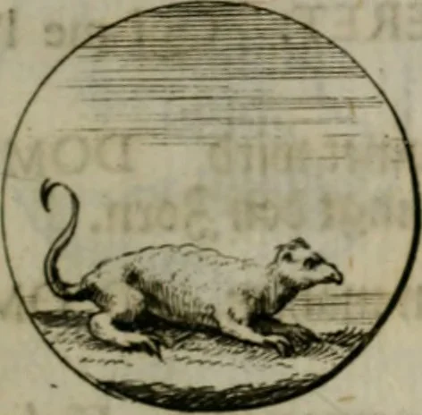 An illustration from Devises et emblemes anciennes & modernes, tirées des plus celebres auteurs, oder, Emblematische Gemüths-Vergnügung : bey Betrachtung siben hundert und funffzehen der curieusesten und ergötzlichen Sinn-Bildern, mit ihren zuständigen teutsch-lateinisch-französisch- und italianischen Beyschrifften, 1695, leaf 24