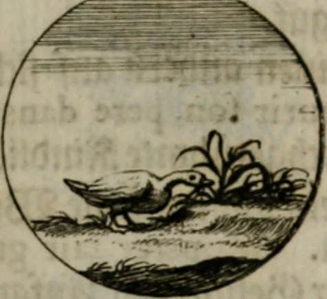 An illustration from Devises et emblemes anciennes & modernes, tirées des plus celebres auteurs, oder, Emblematische Gemüths-Vergnügung : bey Betrachtung siben hundert und funffzehen der curieusesten und ergötzlichen Sinn-Bildern, mit ihren zuständigen teutsch-lateinisch-französisch- und italianischen Beyschrifften, 1695, leaf 24