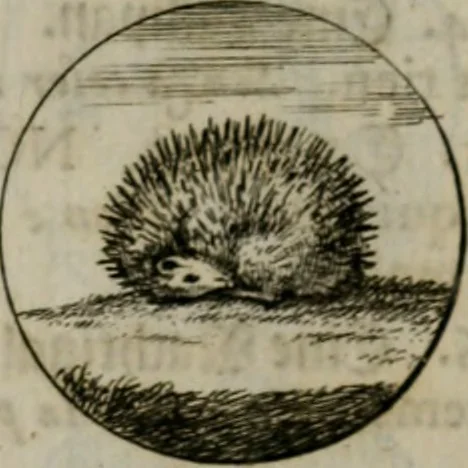 An illustration from Devises et emblemes anciennes & modernes, tirées des plus celebres auteurs, oder, Emblematische Gemüths-Vergnügung : bey Betrachtung siben hundert und funffzehen der curieusesten und ergötzlichen Sinn-Bildern, mit ihren zuständigen teutsch-lateinisch-französisch- und italianischen Beyschrifften, 1695, leaf 24