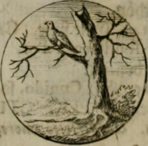 An illustration from Devises et emblemes anciennes & modernes, tirées des plus celebres auteurs, oder, Emblematische Gemüths-Vergnügung : bey Betrachtung siben hundert und funffzehen der curieusesten und ergötzlichen Sinn-Bildern, mit ihren zuständigen teutsch-lateinisch-französisch- und italianischen Beyschrifften, 1695, leaf 24