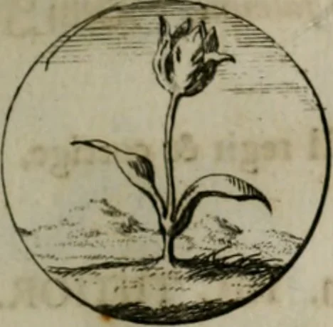 An illustration from Devises et emblemes anciennes & modernes, tirées des plus celebres auteurs, oder, Emblematische Gemüths-Vergnügung : bey Betrachtung siben hundert und funffzehen der curieusesten und ergötzlichen Sinn-Bildern, mit ihren zuständigen teutsch-lateinisch-französisch- und italianischen Beyschrifften, 1695, leaf 26