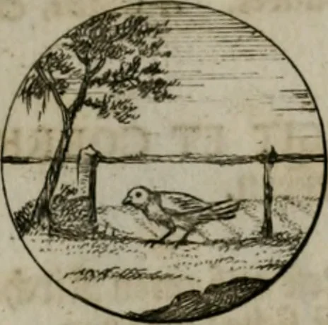 An illustration from Devises et emblemes anciennes & modernes, tirées des plus celebres auteurs, oder, Emblematische Gemüths-Vergnügung : bey Betrachtung siben hundert und funffzehen der curieusesten und ergötzlichen Sinn-Bildern, mit ihren zuständigen teutsch-lateinisch-französisch- und italianischen Beyschrifften, 1695, leaf 26